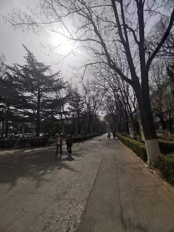 微信图片_202303110902332.jpg